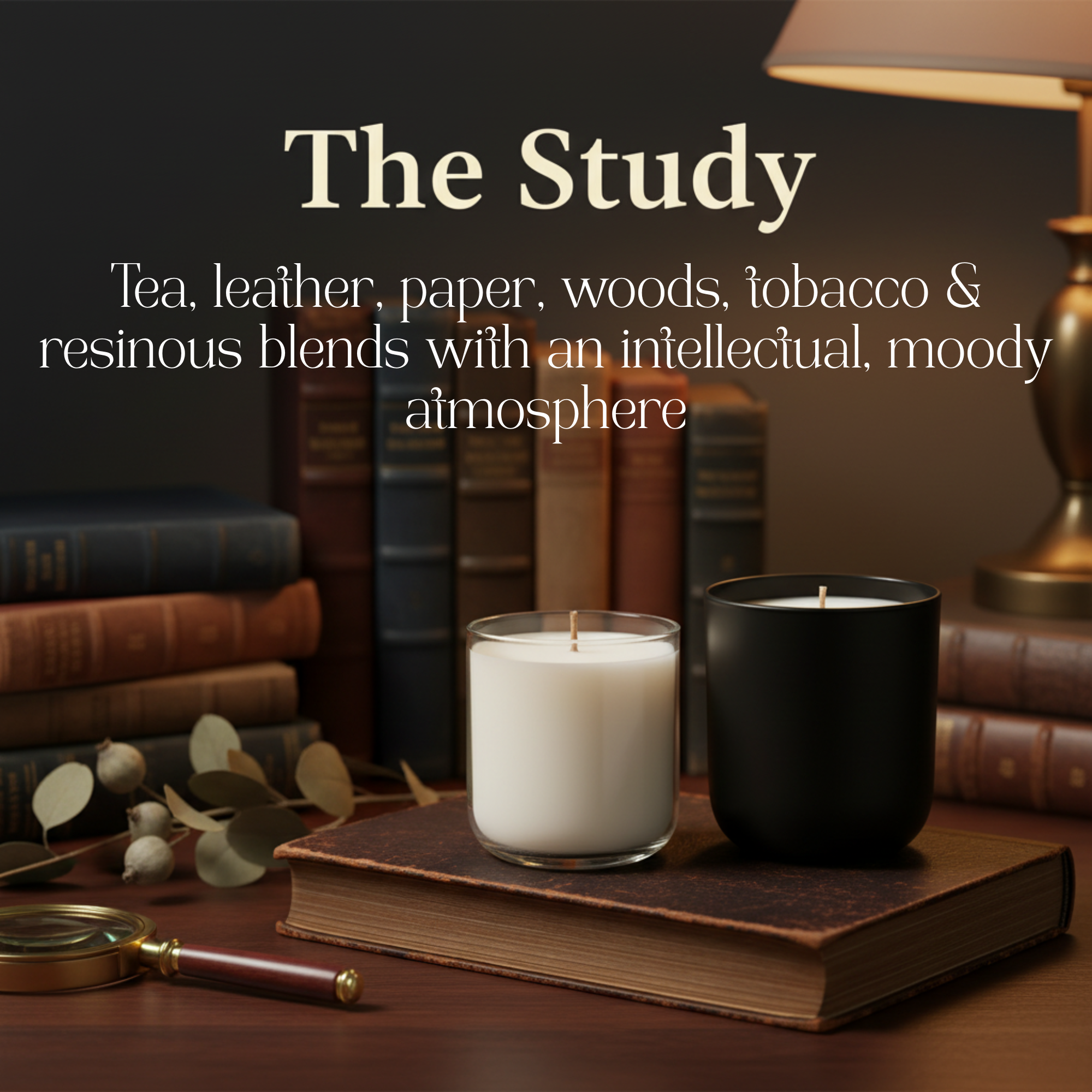 The Study